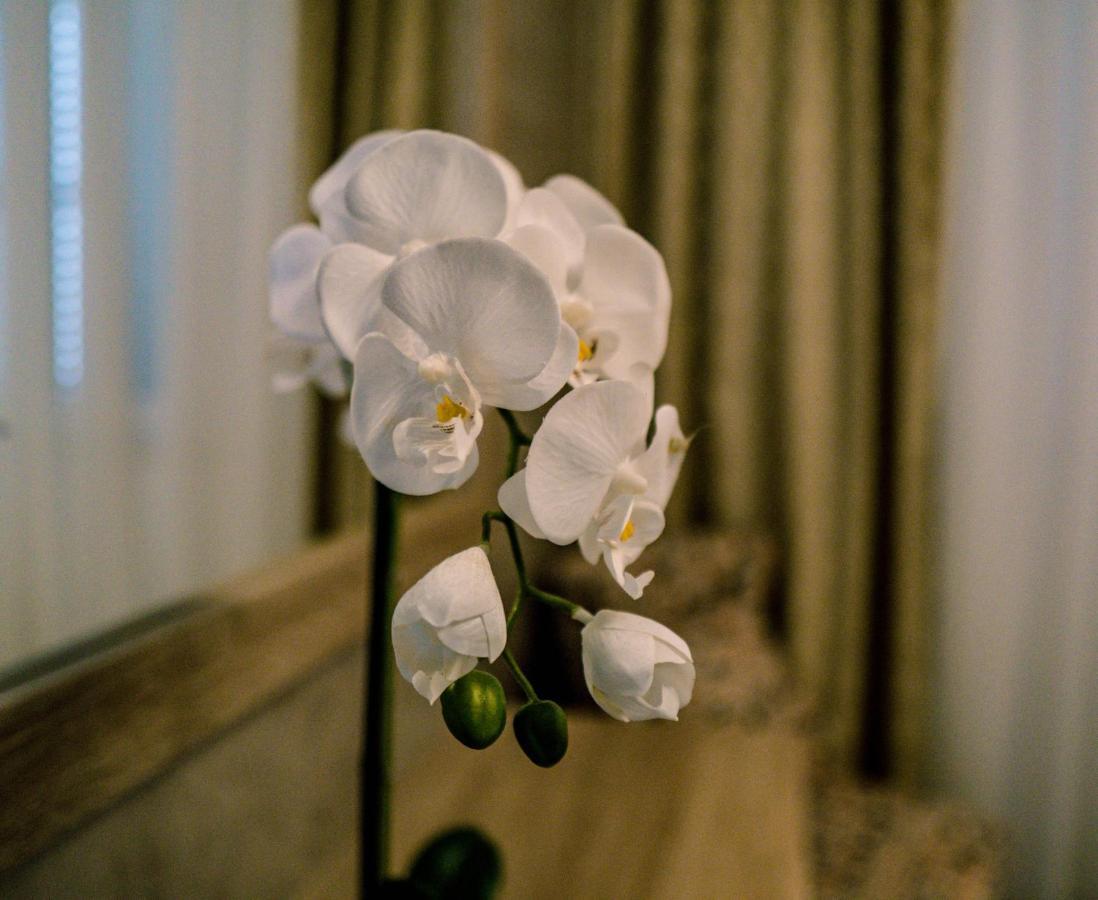 Luxury Apartments White Villa Violeta Mandre Bagian luar foto